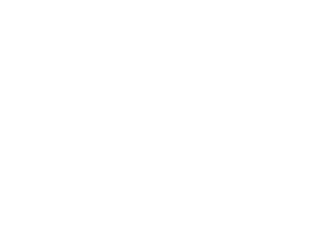 blacks in technology foundation